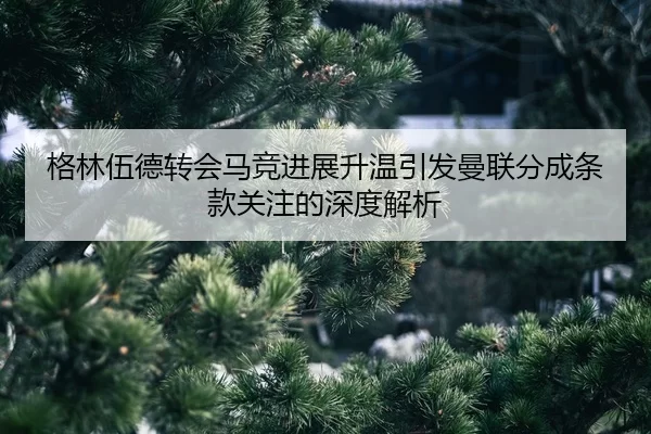 格林伍德转会马竞进展升温引发曼联分成条款关注的深度解析