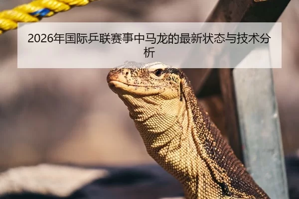 2026年国际乒联赛事中马龙的最新状态与技术分析