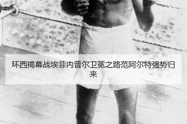 huan-xi-jie-mu-zhan-ai-fei-nei-pu-er-wei-mian-zhi-lu-fan-a-er-te-qiang-shi-gui-lai-3-189.jpg