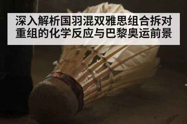 深入解析国羽混双雅思组合拆对重组的化学反应与巴黎奥运前景